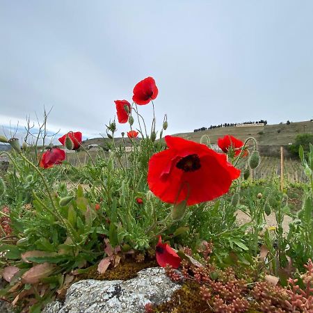 הוילה Tain-lʼHermitage Le Pavillon De L'Hermitage - Spa Ouvert D'Avril A Octobre מראה חיצוני תמונה